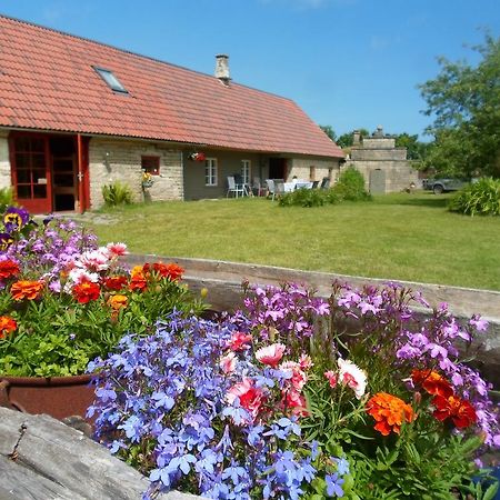 Kavandi Ansumardi Farmstay מראה חיצוני תמונה